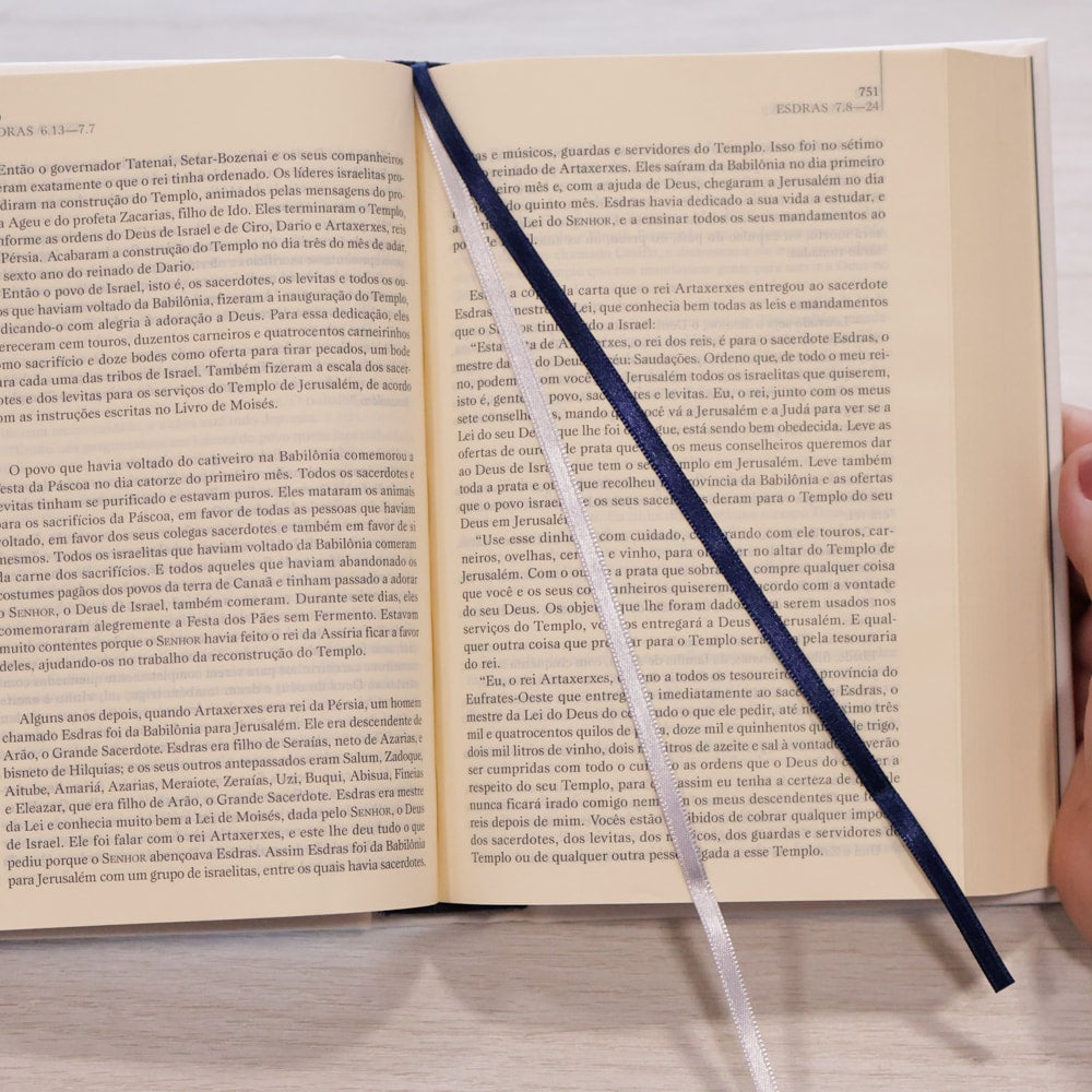 O Livro dos Livros | NTLH | Edição Literária da Bíblia Sagrada | Capa Dura Tecido