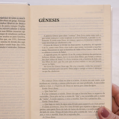O Livro dos Livros | NTLH | Edição Literária da Bíblia Sagrada | Capa Dura Tecido