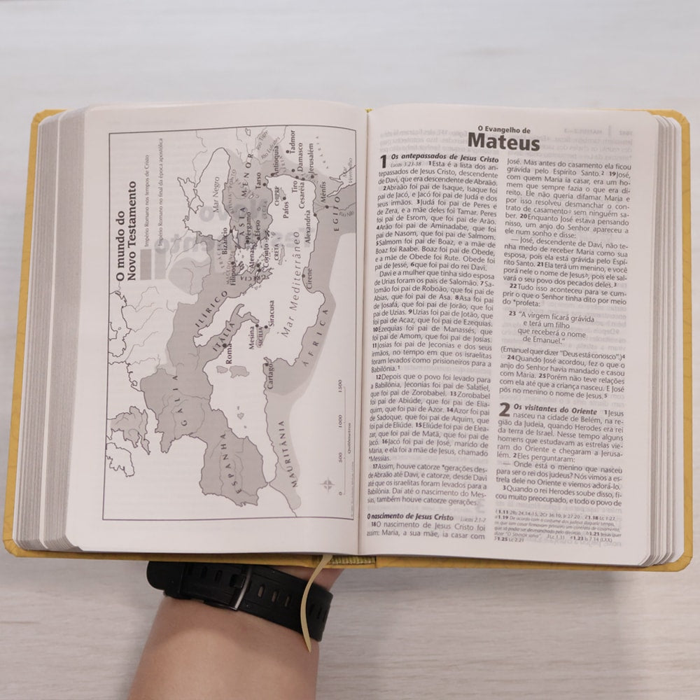 Bíblia Sagrada | NTLH | Letra Grande | Capa Filipenses 4:13