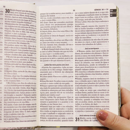 Bíblia Sagrada | ARA | Letra Grande | Capa Cristal Dourado Fosco