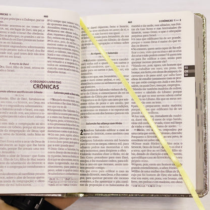 Bíblia Sagrada | ARA | Letra Grande | Capa Cristal Dourado Fosco