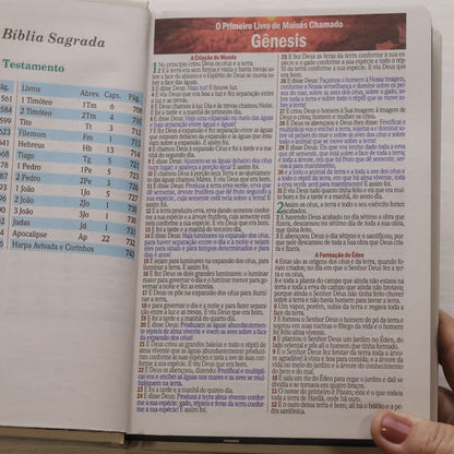 Bíblia Sagrada Jesus no Barco | ARC | Letra Maior | Harpa e Corinhos | Capa Dura