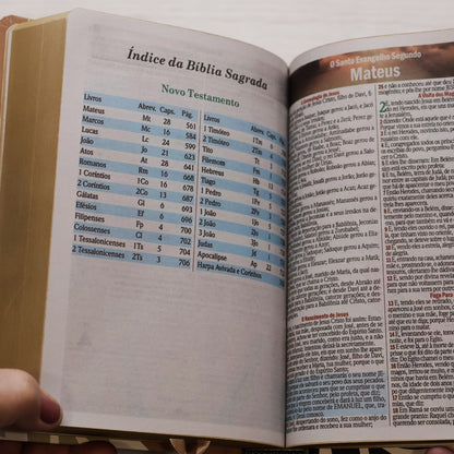 Bíblia Sagrada Nada Será Capaz | ARC | Letra Maior | Harpa e Corinhos | Capa Dura