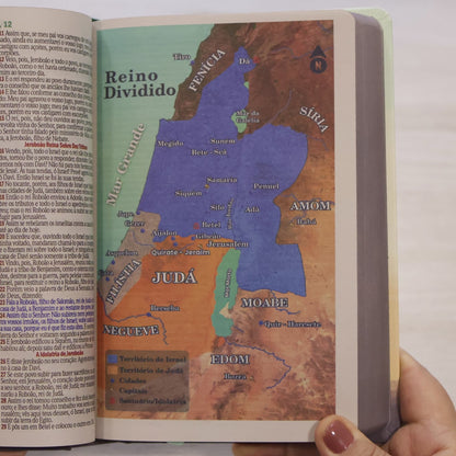 Bíblia Sagrada Tua Graça | ARC | Letra Maior | Harpa e Corinhos | Capa Dura