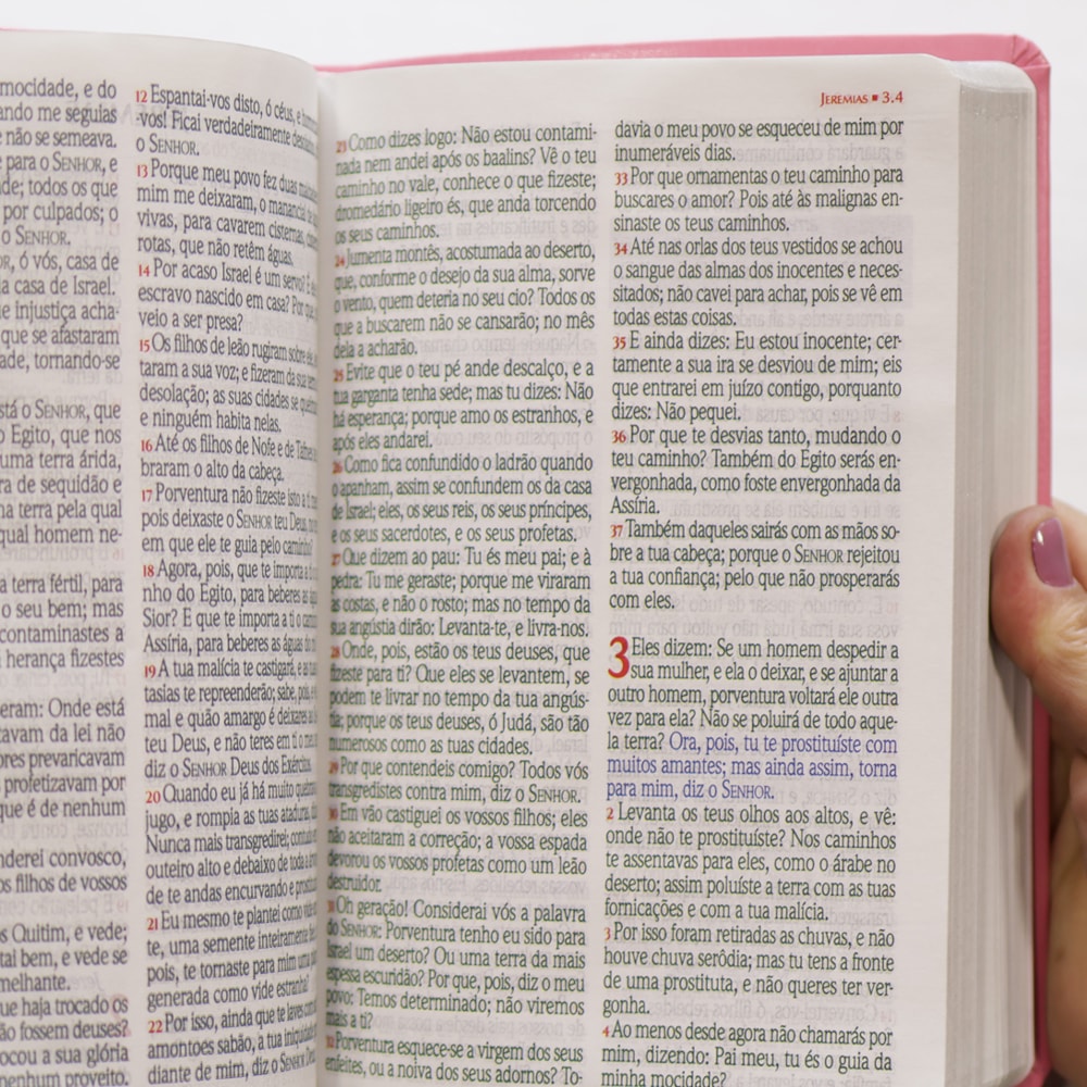 Bíblia Sagrada Harpa Celestial 774 | ERC | Letra Extra Gigante | Capa Rosa Flor Azul
