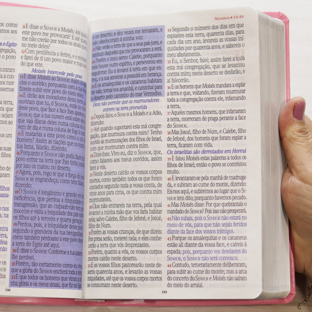 Bíblia Sagrada Harpa Celestial 774 | ERC | Letra Extra Gigante | Capa Rosa Flor Azul