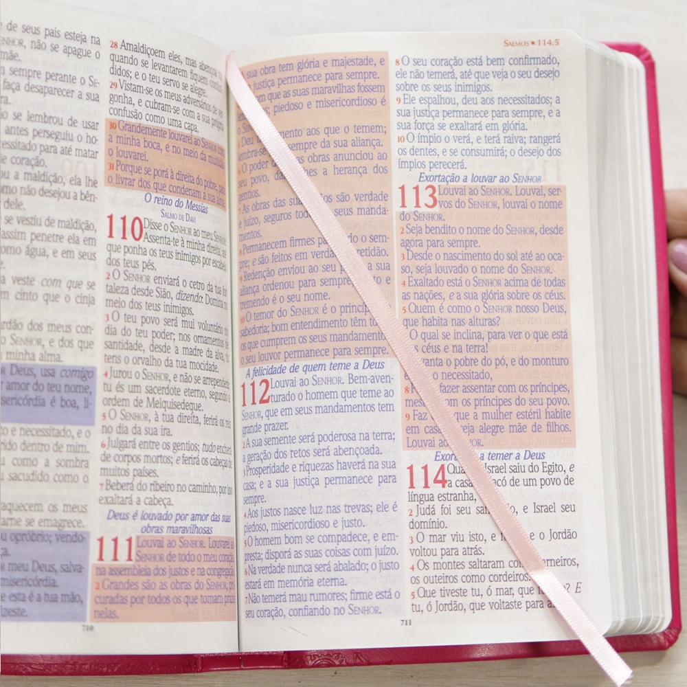 Bíblia Sagrada Harpa Celestial 774 | ERC | Letra Extra Gigante | Capa Pink Flor Amarela