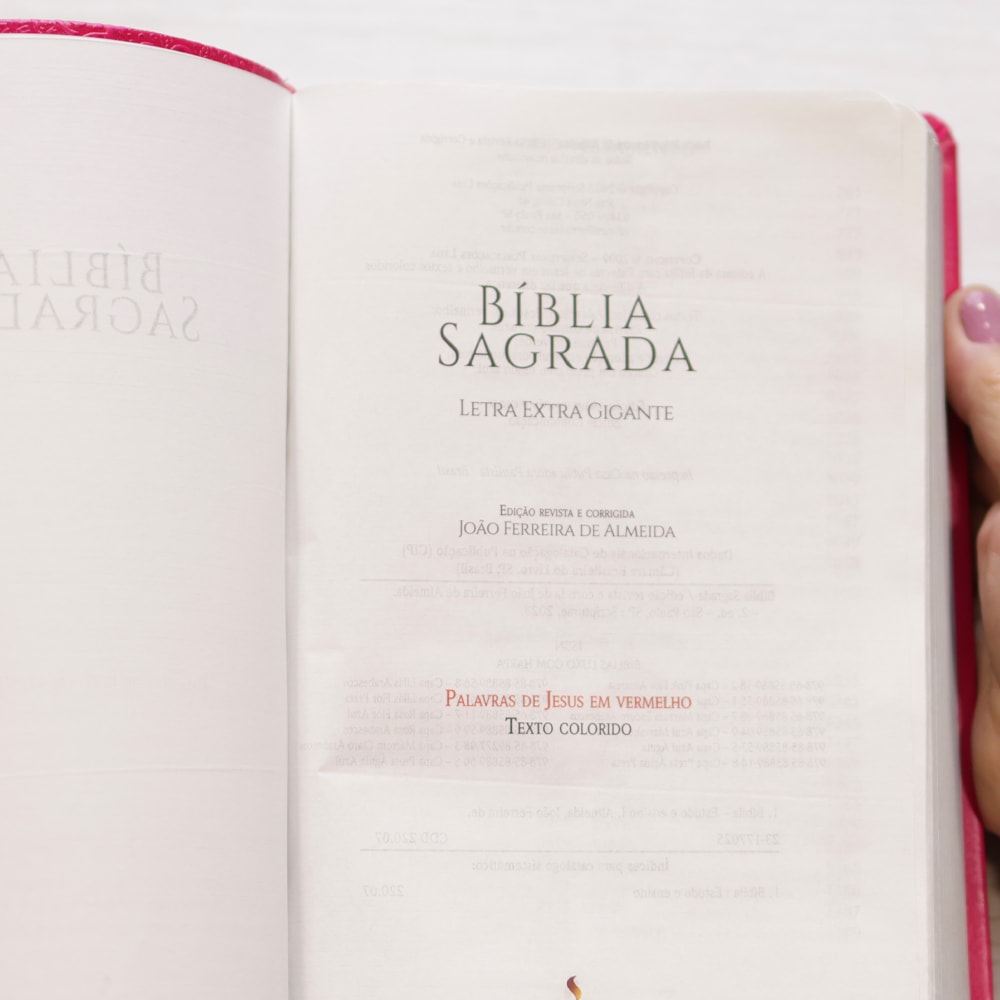 Bíblia Sagrada Harpa Celestial 774 | ERC | Letra Extra Gigante | Capa Pink Flor Amarela