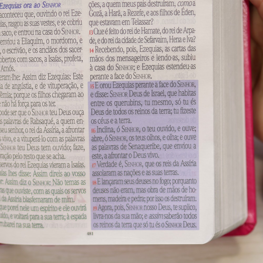 Bíblia Sagrada Harpa Celestial 774 | ERC | Letra Extra Gigante | Capa Pink Flor Amarela