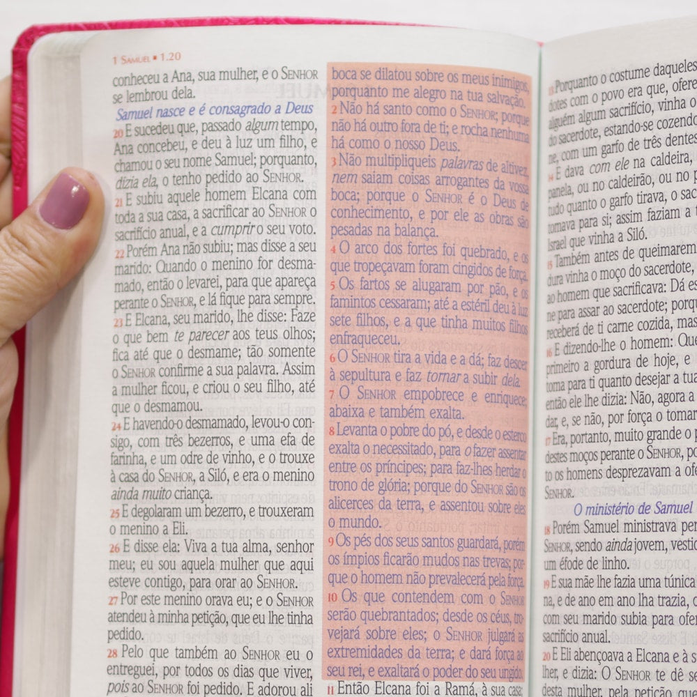 Bíblia Sagrada Harpa Celestial 774 | ERC | Letra Extra Gigante | Capa Pink Flor Amarela