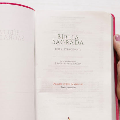 Bíblia Sagrada Harpa Celestial 774 | ERC | Letra Extra Gigante | Capa Pink Floral