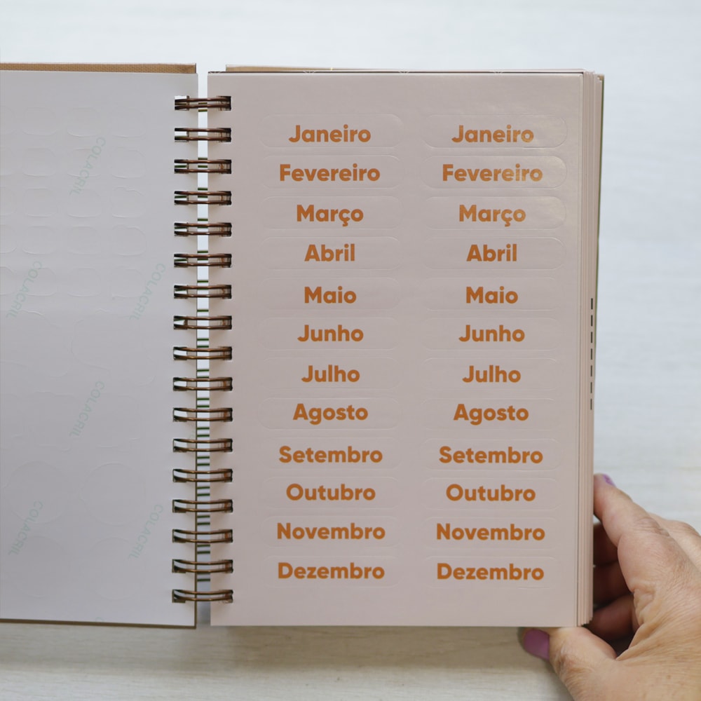 Planner Café Com Deus Pai 2025 | 
Junior Rostirola