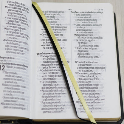 Bíblia Sagrada | NAA | Letra Gigante | Preta