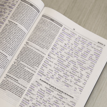 Bíblia Sagrada Interlinear Novo Testamento | Grego-Português