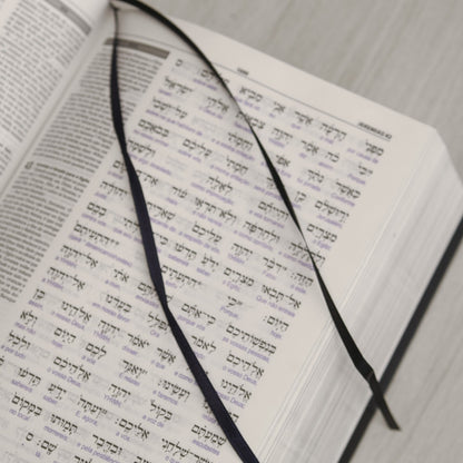 Bíblia Sagrada Interlinear Novo Testamento | Grego-Português