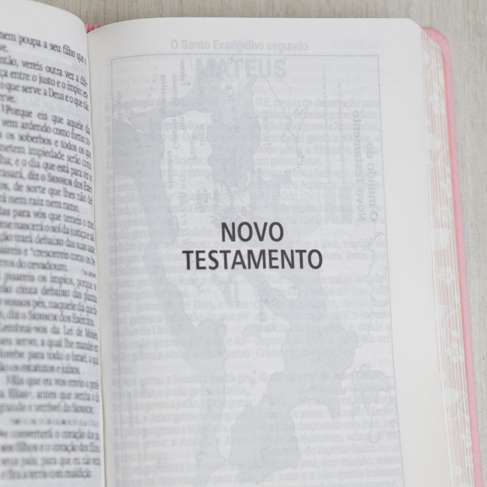 Bíblia Sagrada | NAA | Letra Gigante | Rosa