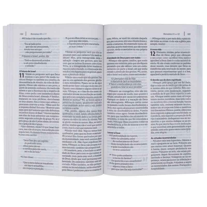 Novo Testamento | Com Salmos e Provérbios | NAA