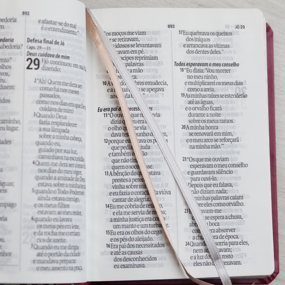 Bíblia Sagrada | NAA |  Letra Gigante | Pink