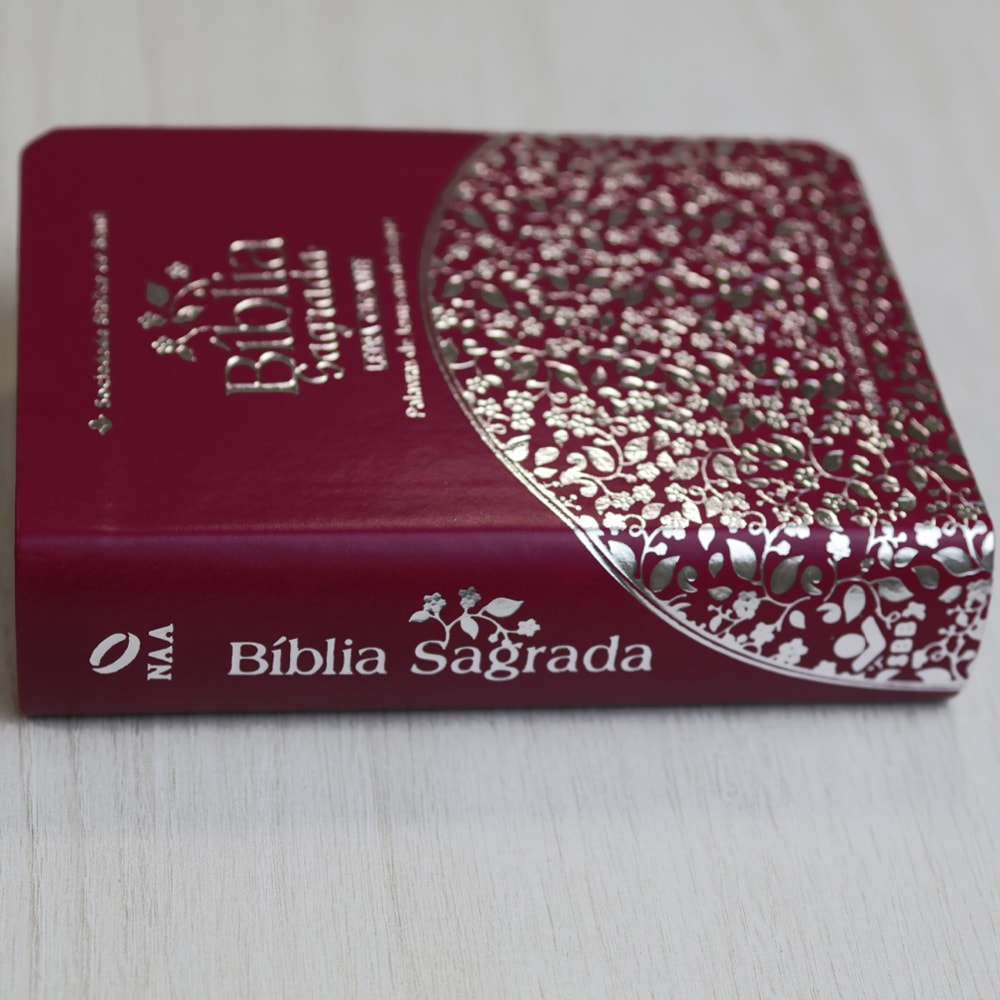Bíblia Sagrada | NAA |  Letra Gigante | Pink