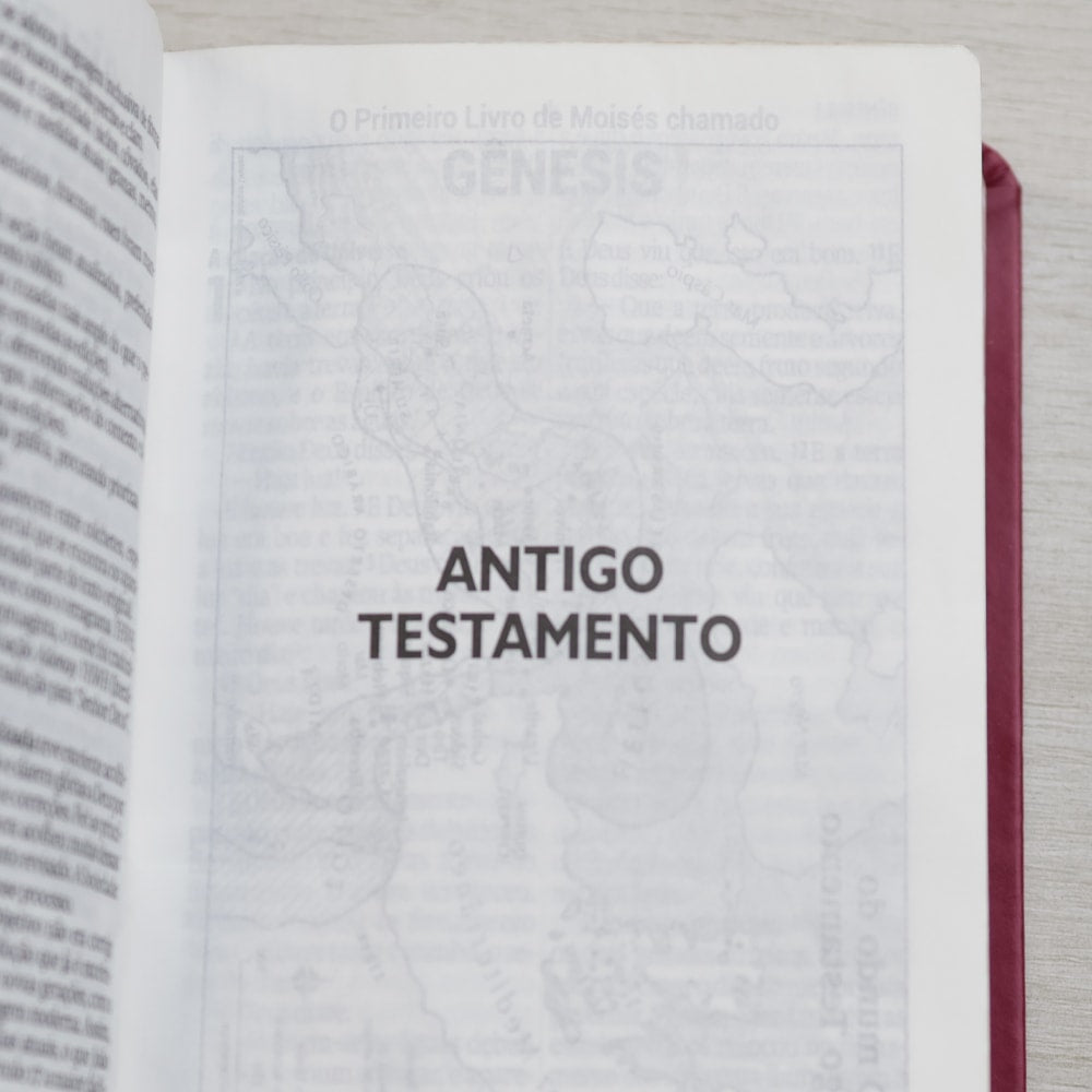 Bíblia Sagrada | NAA |  Letra Gigante | Pink