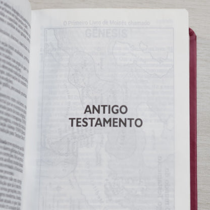 Bíblia Sagrada | NAA |  Letra Gigante | Pink