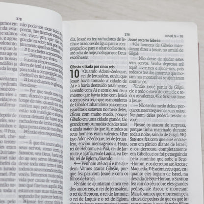 Bíblia Sagrada | NAA |  Letra Gigante | Pink