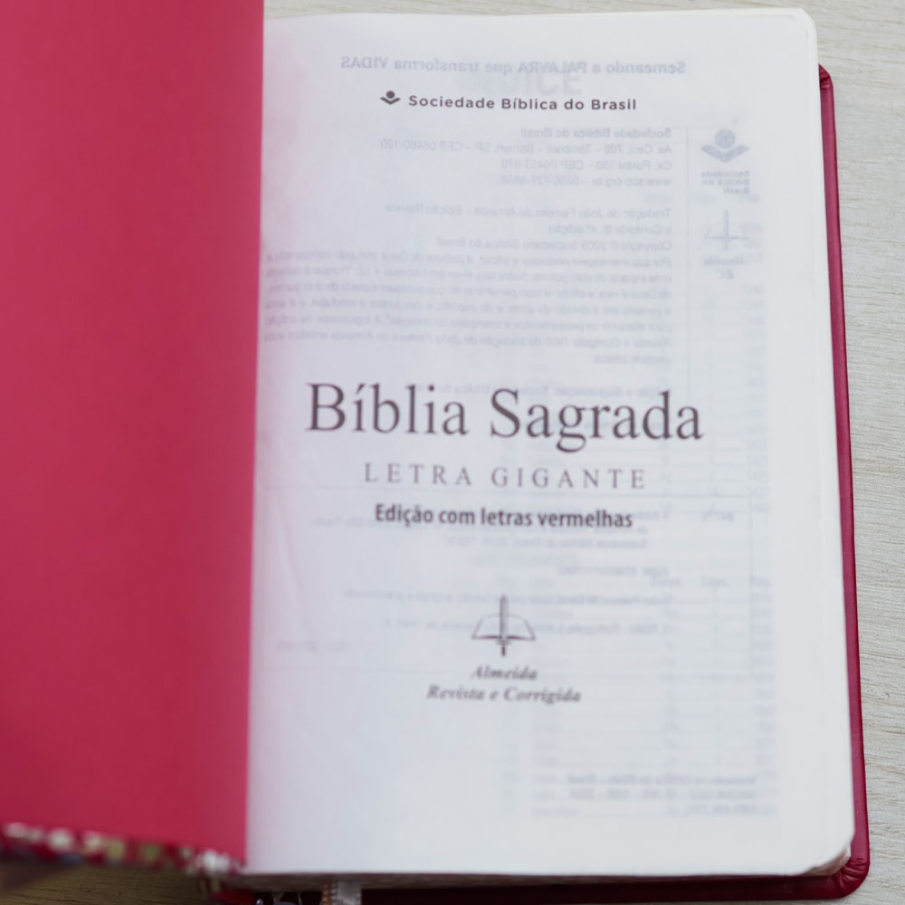 Bíblia Sagrada | ARC |  Letra Gigante | Pink