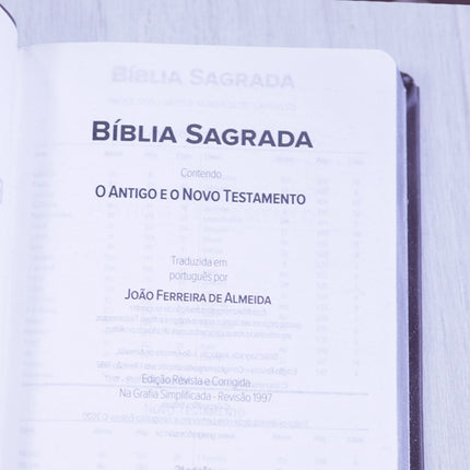 Bíblia Sagrada | ARC | Letra Normal | Capa Luxo Vinho Perolado