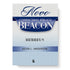 Novo Comentário Bíblico Beacon | Hebreus