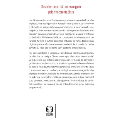 O Rinoceronte Cinza | Michele Wucker
