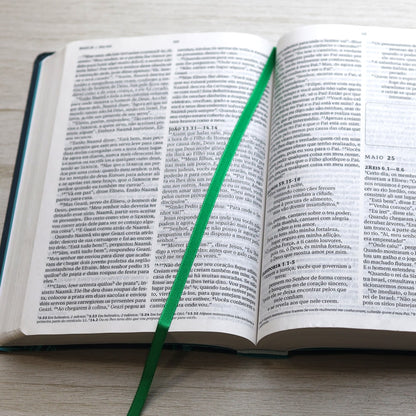 Biblia 365 |  NVT | Edição Católica