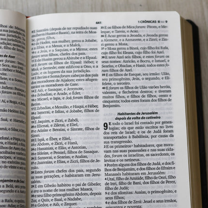 Bíblia Sagrada com Harpa Cristã | ARC | Letra Grande | Capa Luxo Floral Preta