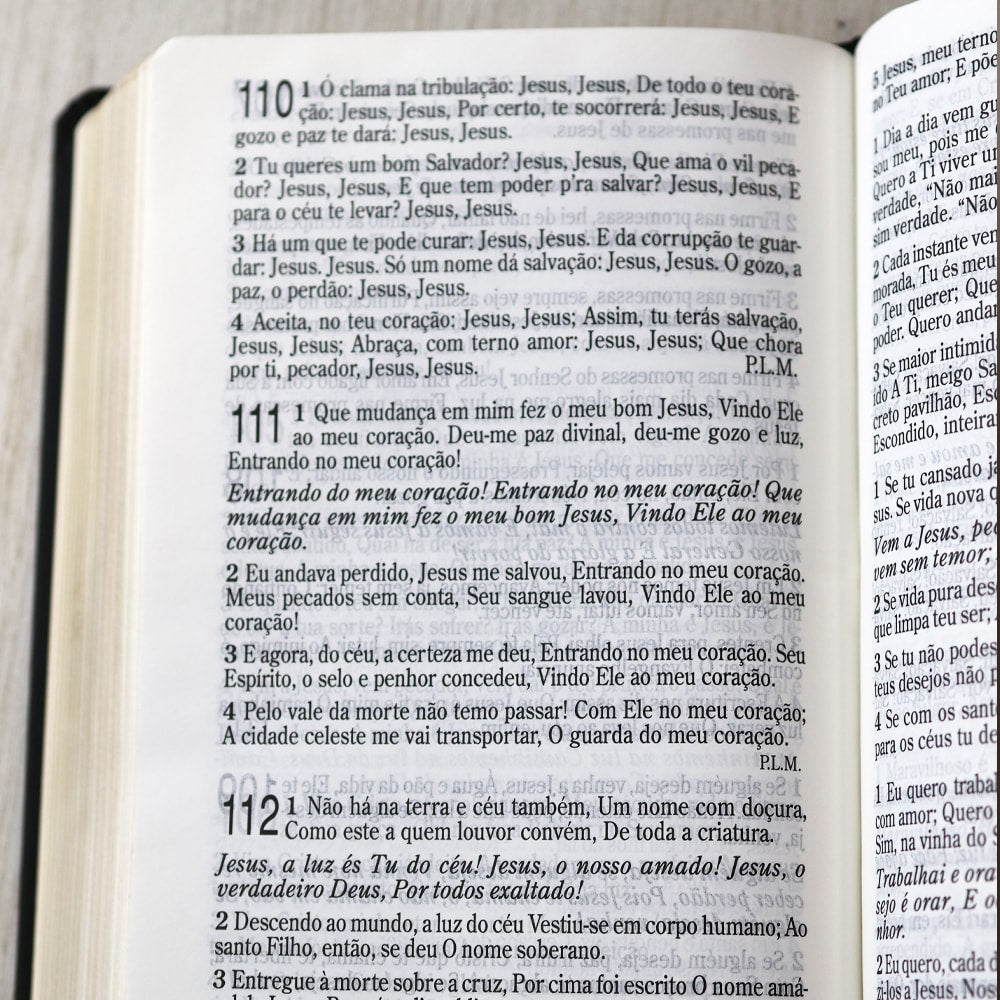 Bíblia Sagrada com Harpa Cristã | ARC | Letra Grande | Capa Luxo Floral Ramos Preta