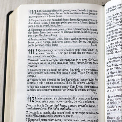 Bíblia Sagrada com Harpa Cristã | ARC | Letra Grande | Capa Luxo Floral Ramos Preta