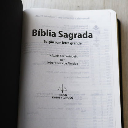 Bíblia Sagrada com Harpa Cristã | ARC | Letra Grande | Capa Luxo Floral Ramos Preta