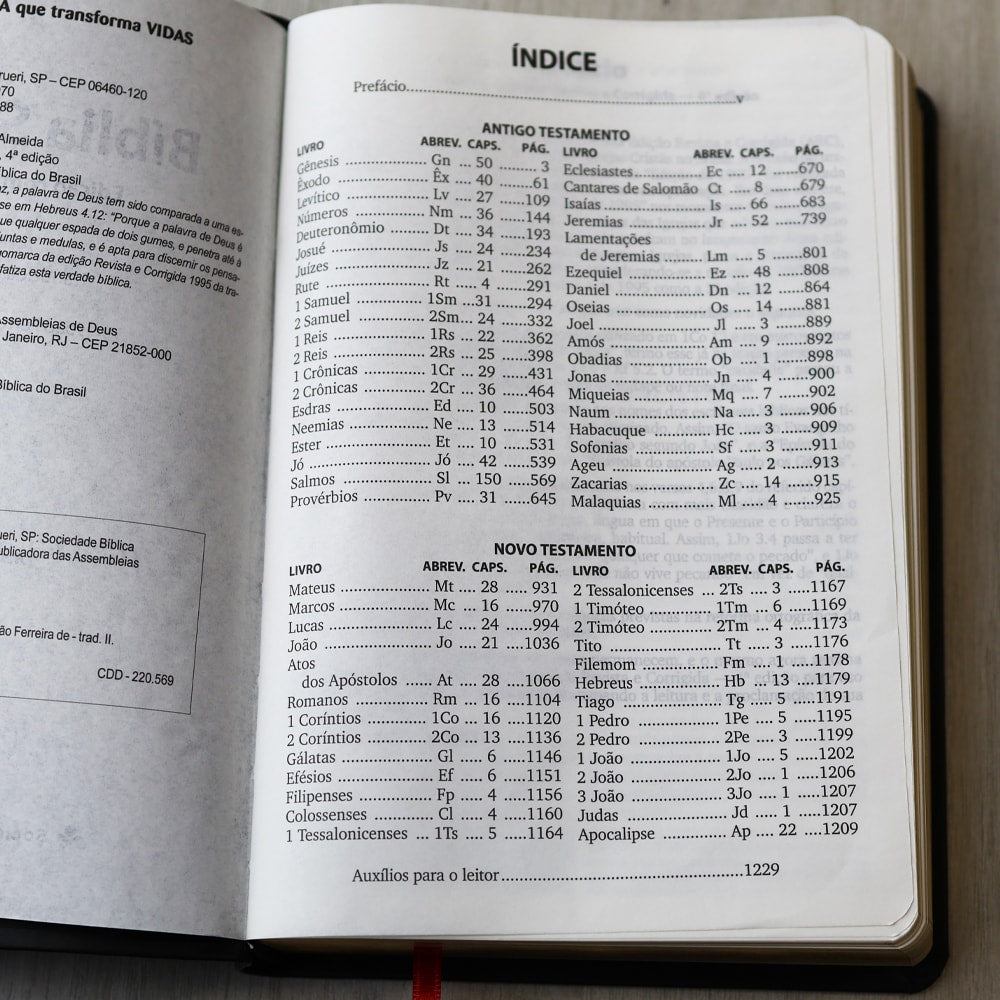 Bíblia Sagrada com Harpa Cristã | ARC | Letra Grande | Capa Luxo Floral Ramos Preta