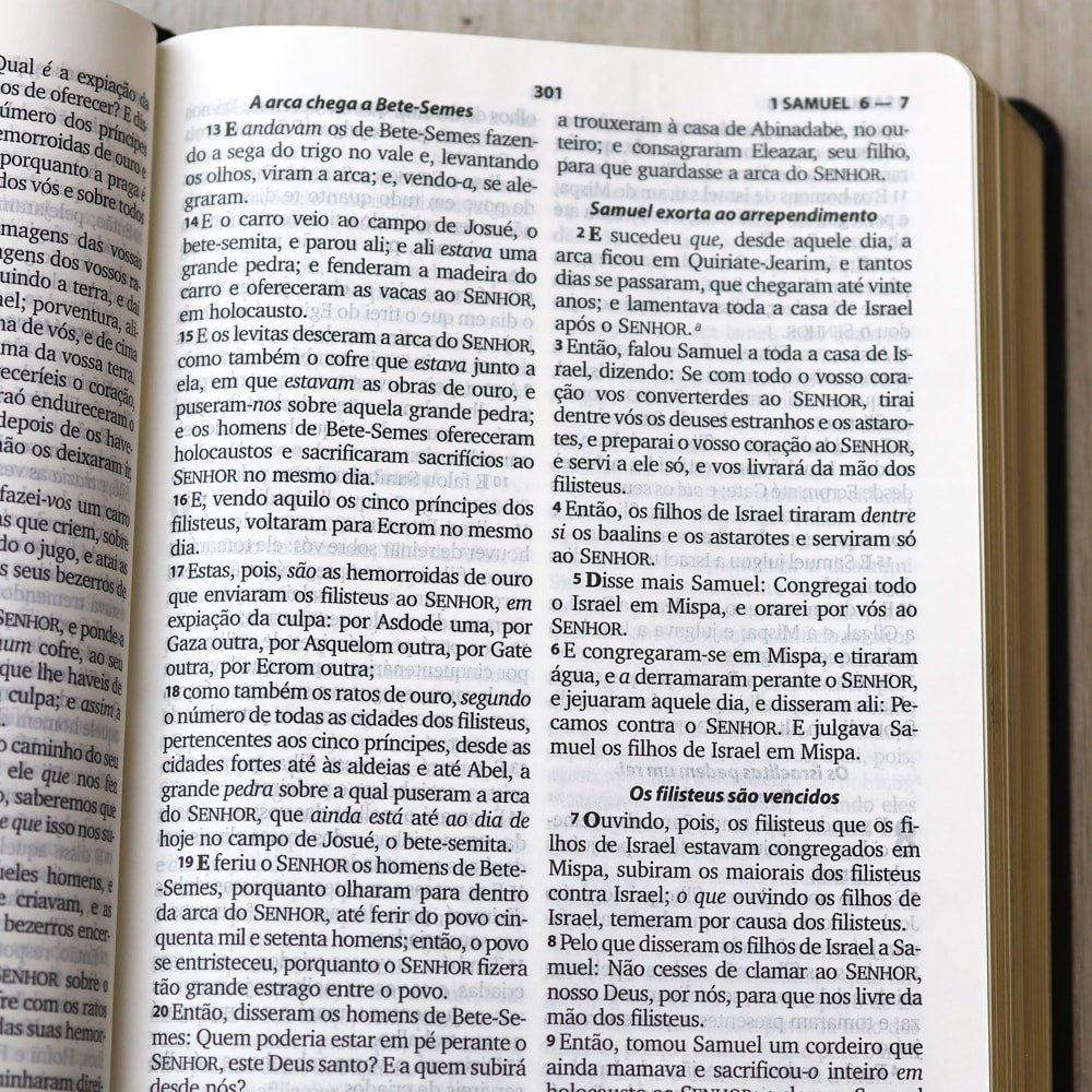 Bíblia Sagrada com Harpa Cristã | ARC | Letra Grande | Capa Luxo Floral Ramos Preta