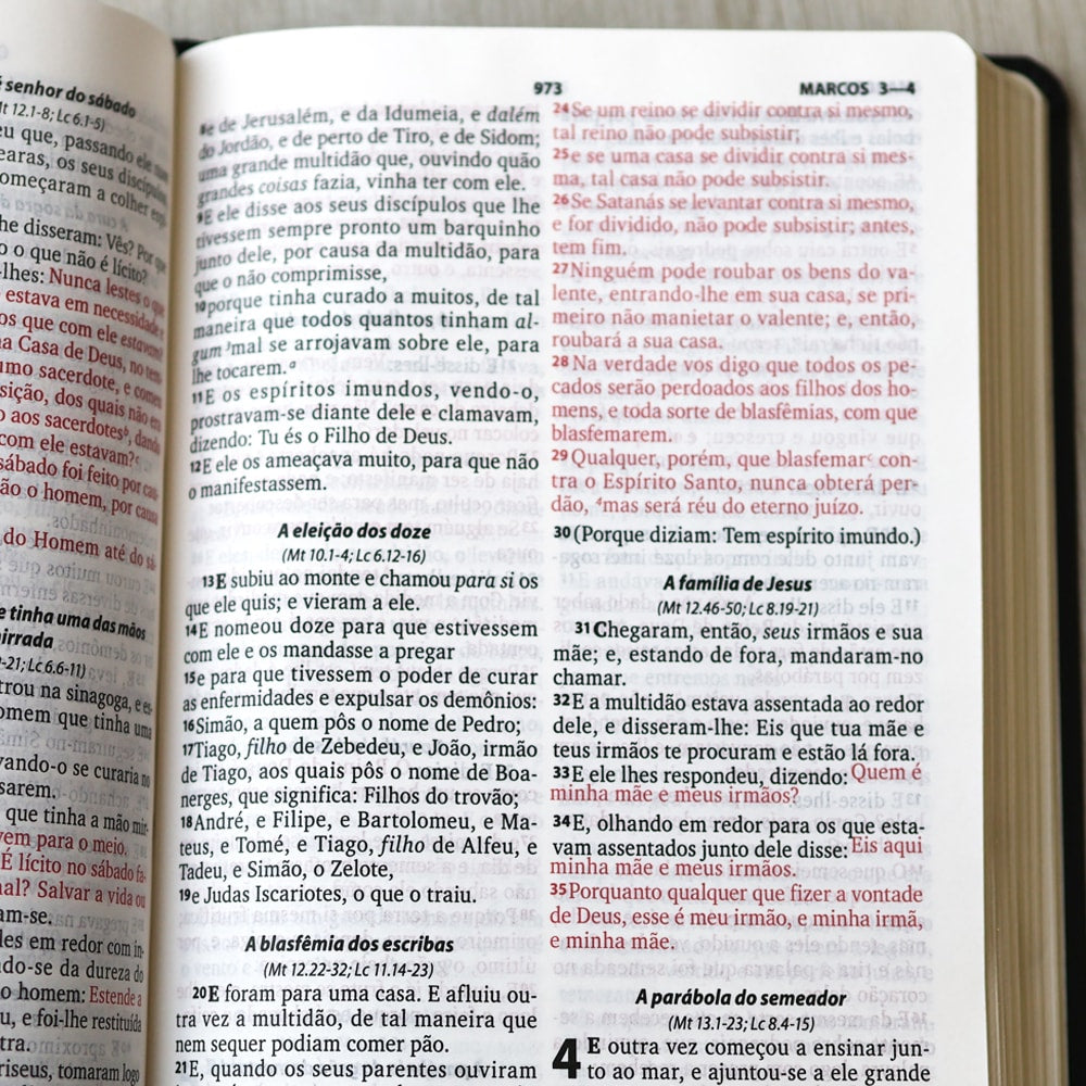 Bíblia Sagrada com Harpa Cristã | ARC | Letra Grande | Capa Luxo Floral Ramos Preta