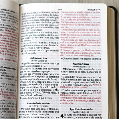 Bíblia Sagrada com Harpa Cristã | ARC | Letra Grande | Capa Luxo Floral Ramos Preta