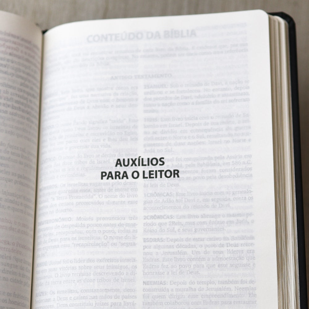 Bíblia Sagrada com Harpa Cristã | ARC | Letra Grande | Capa Luxo Floral Ramos Preta