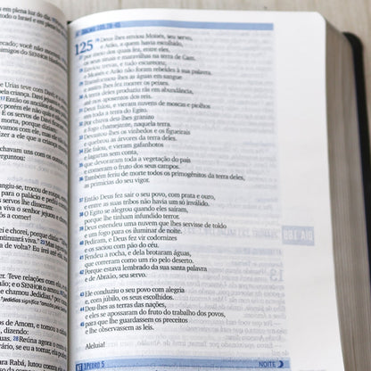 Bíblia 365  Dia e Noite | Letra Normal | NAA | Capa Cinza Luxo
