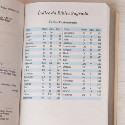 Bíblia Sagrada | Letra Gigante | ARC | Harpa Avivada e Corinhos | Capa PU Luxo Rosê e Rosa