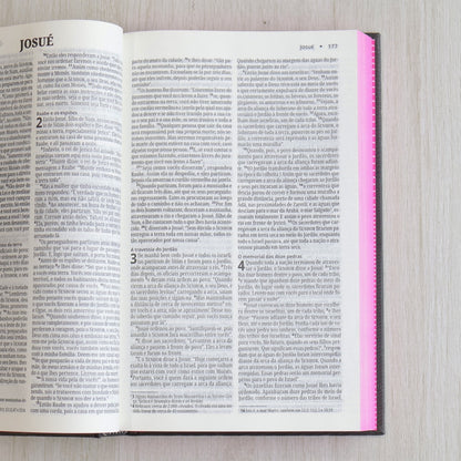 Bíblia Sagrada | NVI | Neon Rosa| Capa Dura