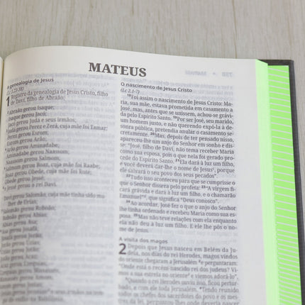 Bíblia Sagrada | NVI | Neon Verde | Capa Dura