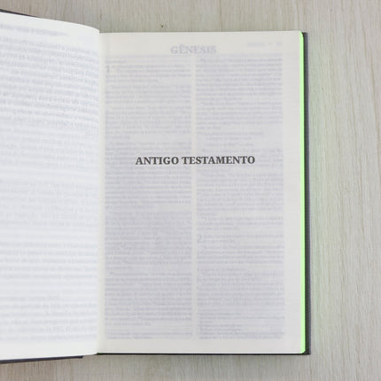 Bíblia Sagrada | NVI | Neon Verde | Capa Dura