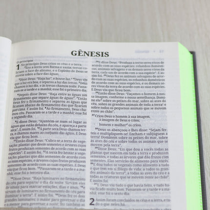 Bíblia Sagrada | NVI | Neon Verde | Capa Dura