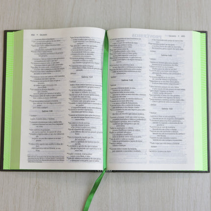 Bíblia Sagrada | NVI | Neon Verde | Capa Dura