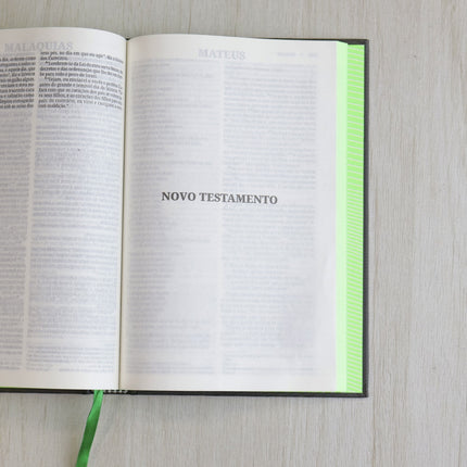 Bíblia Sagrada | NVI | Neon Verde | Capa Dura