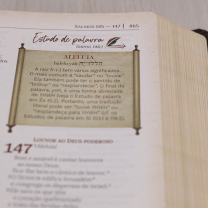 Bíblia de Estudo Igreja Primitiva | NAA | Capa Luxo Marrom
