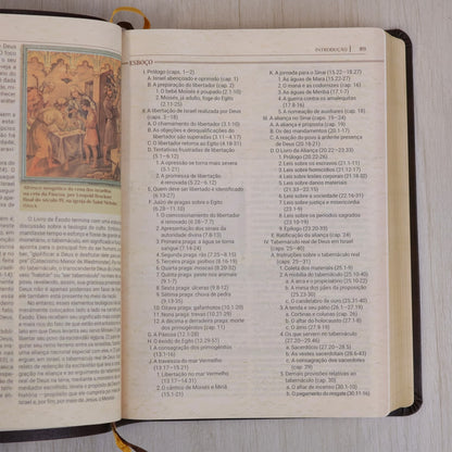 Bíblia de Estudo Igreja Primitiva | NAA | Capa Luxo Marrom